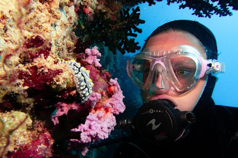Snorkel en arrecife
